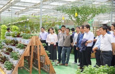 通渭縣新進鄉鎮領導班子成員開展新材料技術推廣服務觀摩學習活動